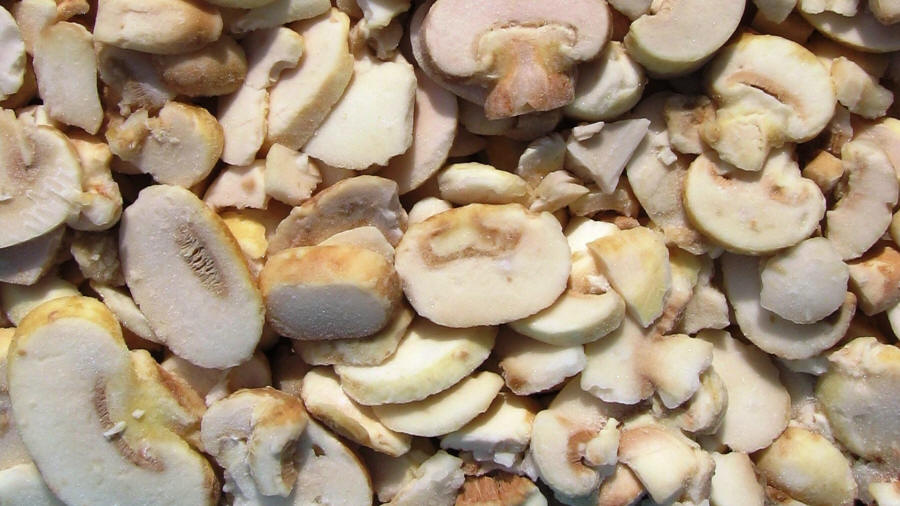 LAS-BOR fresh mushrooms dried mushrooms frozen mushrooms blanched mushrooms chanterelle boletus bay bolete champignon 06