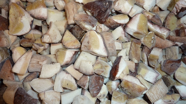 LAS-BOR fresh mushrooms dried mushrooms frozen mushrooms blanched mushrooms chanterelle boletus bay bolete champignon 11