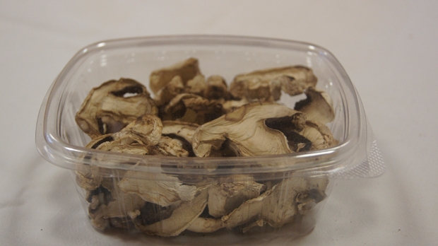 LAS-BOR fresh mushrooms dried mushrooms frozen mushrooms blanched mushrooms chanterelle boletus bay bolete champignon 05