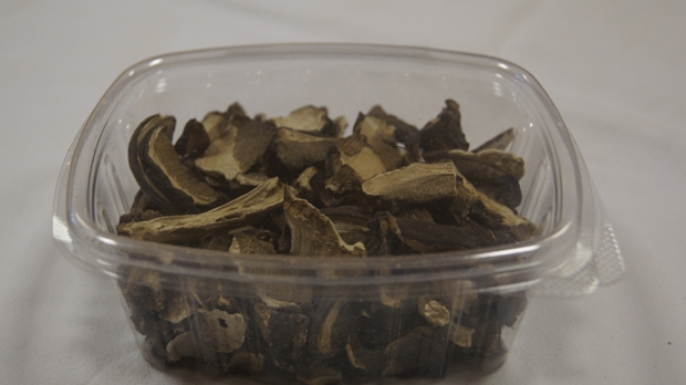 LAS-BOR fresh mushrooms dried mushrooms frozen mushrooms blanched mushrooms chanterelle boletus bay bolete champignon 04