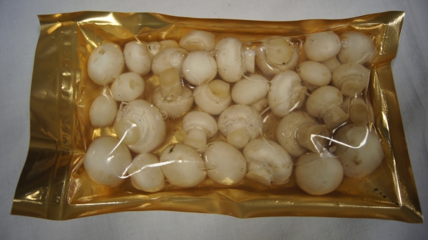 Las-Bór EKO traitement de la production de champignons exportés champignons frais séchés surgelés blanchis chanterelles cèpes bolets champignons de paris en Pologn 13