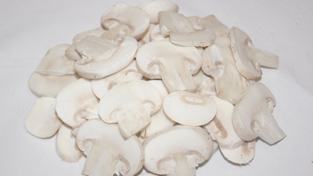 Las-Bór EKO traitement de la production de champignons exportés champignons frais séchés surgelés blanchis chanterelles cèpes bolets champignons de paris en Pologn 08