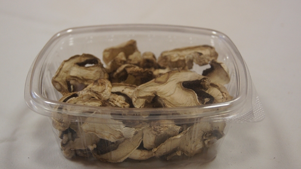 Las-Bór EKO traitement de la production de champignons exportés champignons frais séchés surgelés blanchis chanterelles cèpes bolets champignons de paris en Pologn 05